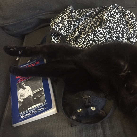 meet me! - Picture 3 of 3